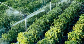 SOLCOM Marktstudie: „Freiberufler und Kredite – Eine Frage des Geldes“